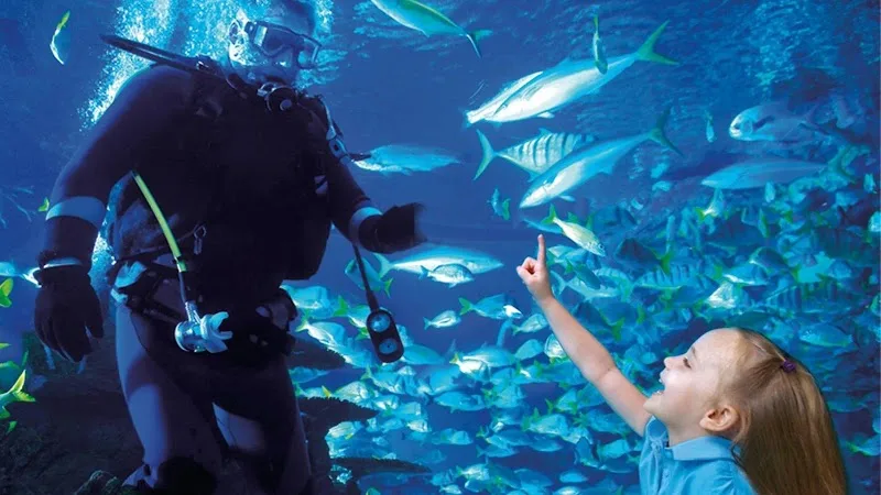 Aquarium Restaurant — ресторан у Х'юстоні, фото 3