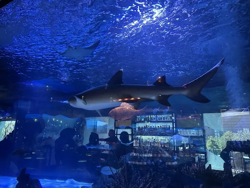 Aquarium Restaurant — ресторан у Х'юстоні, фото 5