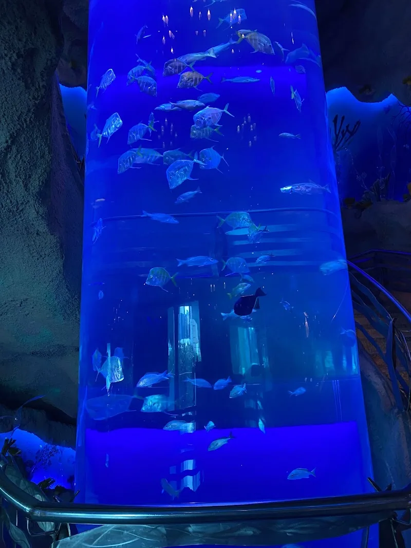 Aquarium Restaurant — ресторан у Х'юстоні, фото 9